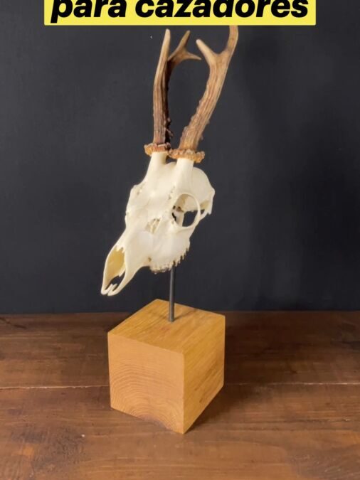 Idées de cadeaux pour chasseur : sélection originale et pratique