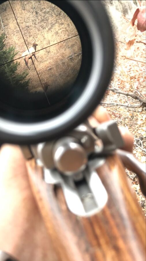 observer faune avec caméra