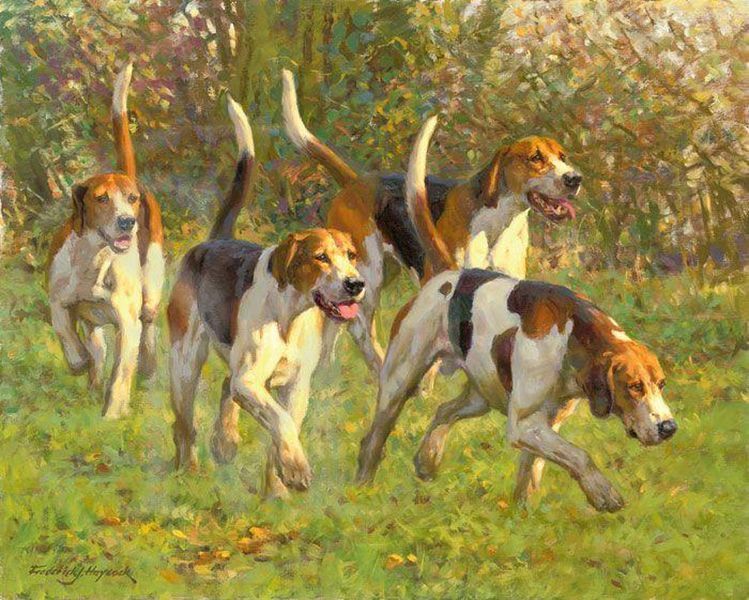 Techniques chien de chasse