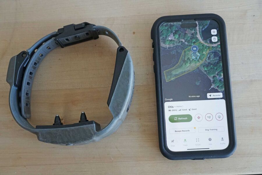 Collier GPS pour chien de chasse sur smartphone : Suivez vos compagnons en temps réel