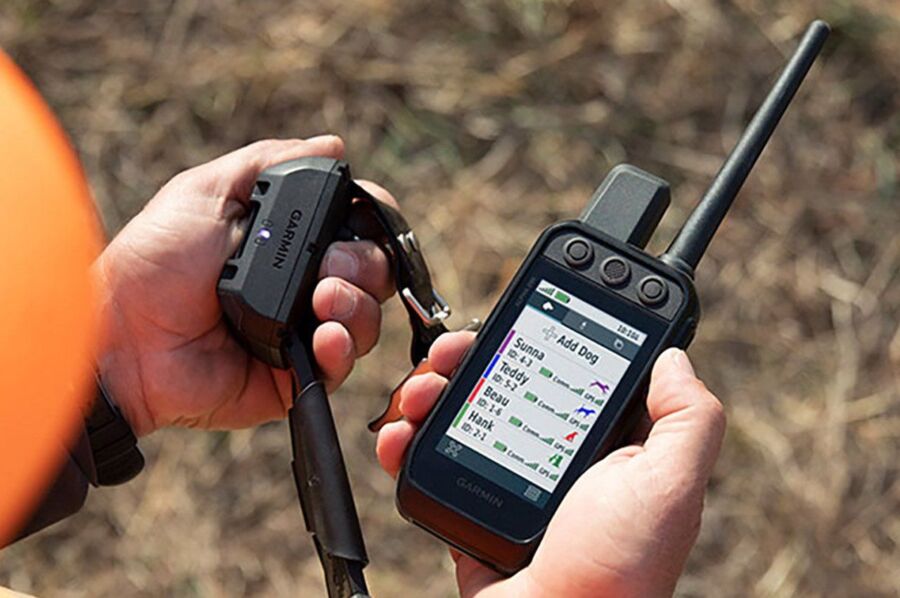 Suivi GPS chien chasse