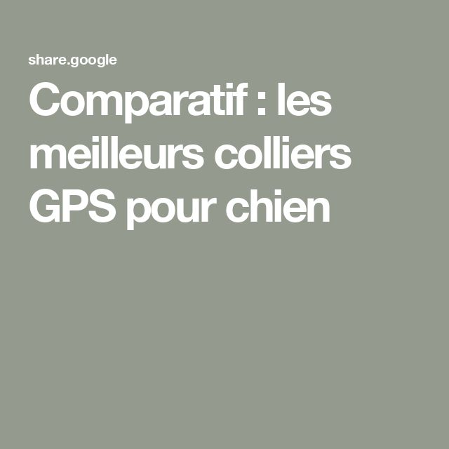 Collier connecté pour chien