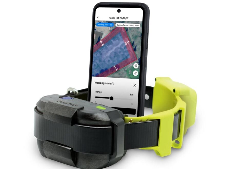 Collier connecté pour chien