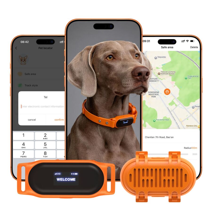 Suivi GPS chien chasse