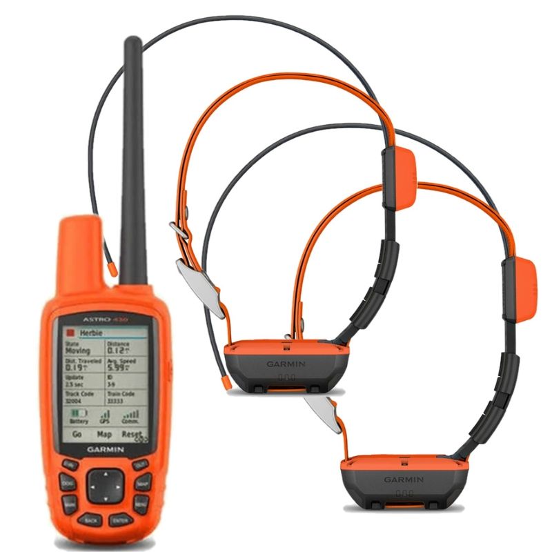 Collier connecté pour chien