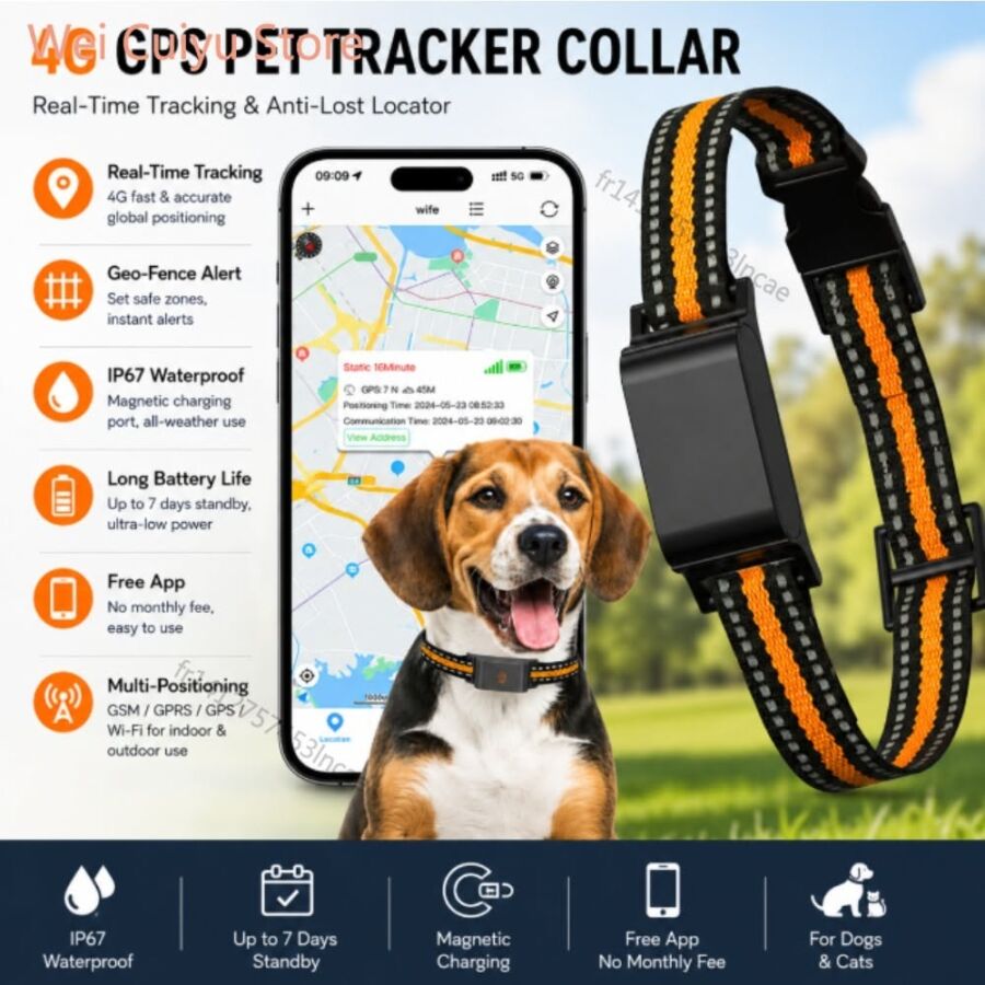 Suivi GPS chien chasse
