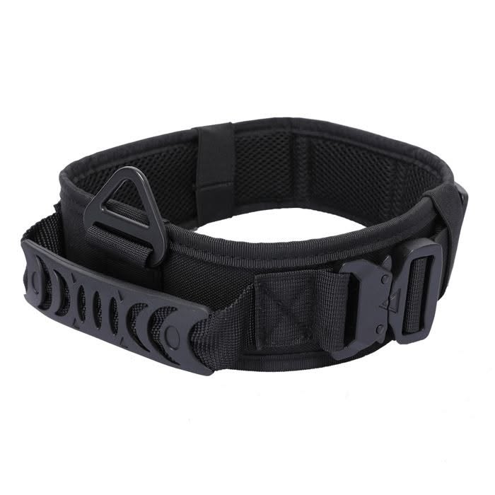 Sécurité collier chien chasse