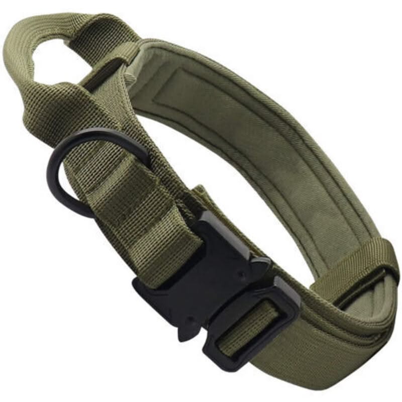 Confort collier pour chien
