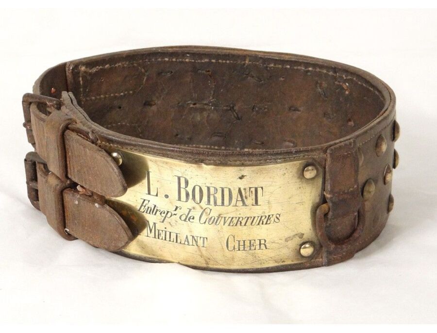 Sécurité collier chien chasse