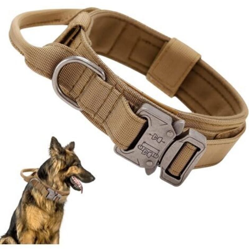 Confort collier pour chien