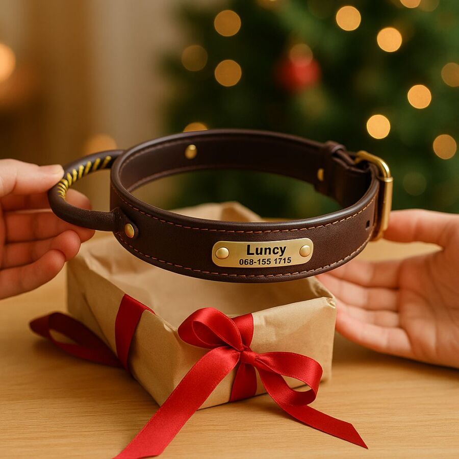 Confort collier pour chien