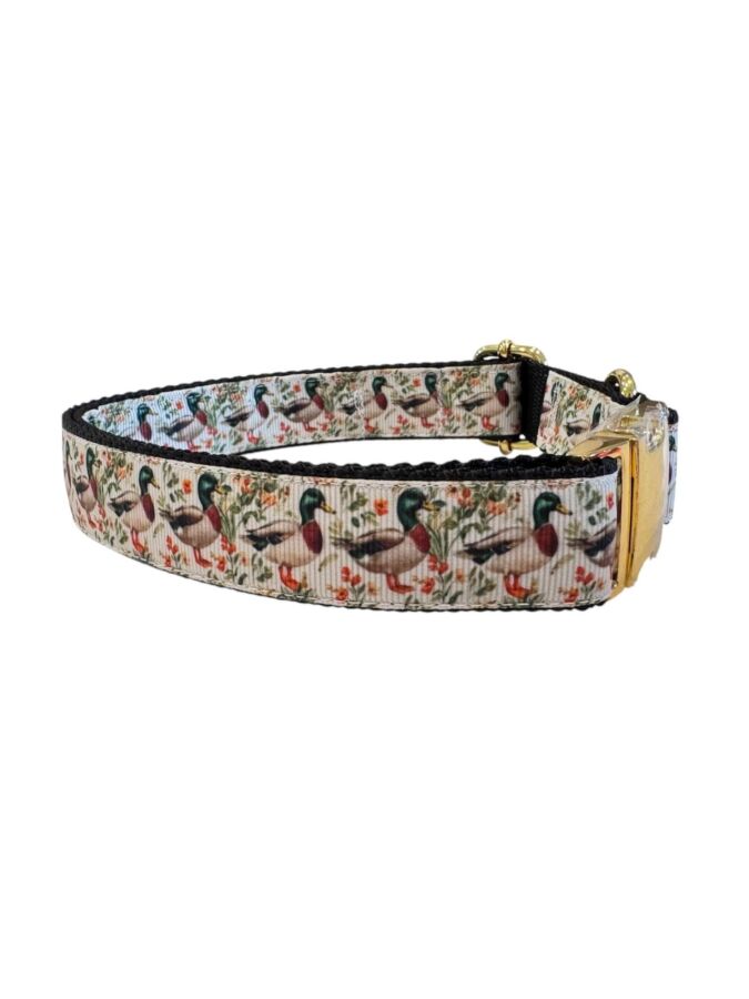 Confort collier pour chien