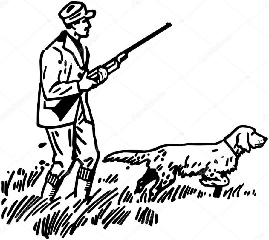 Chien de chasse efficace