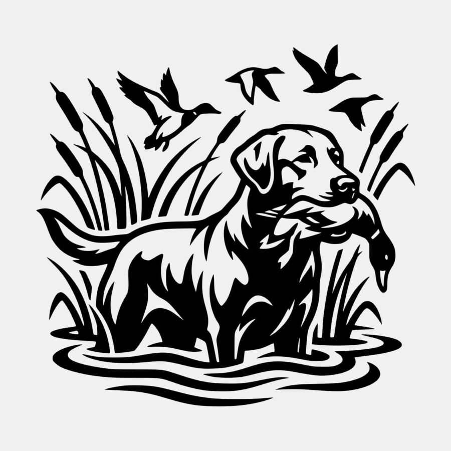 Noir et blanc chien de chasse