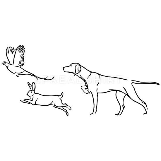 Noir et blanc chien de chasse