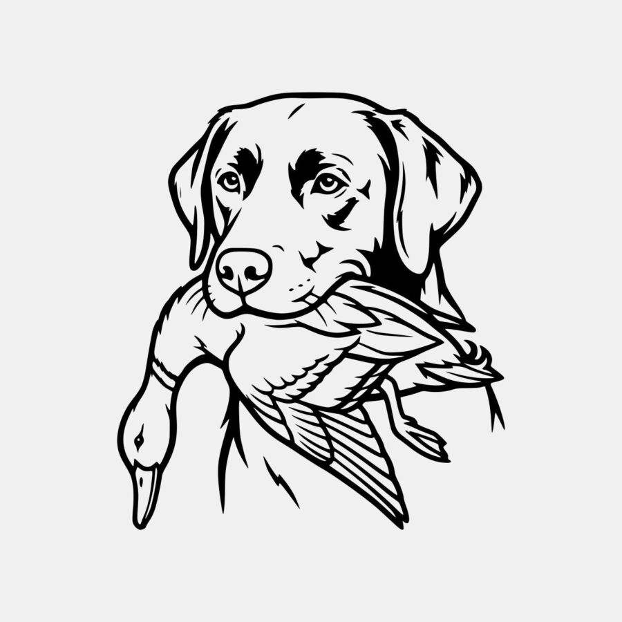 Chien de chasse élégant