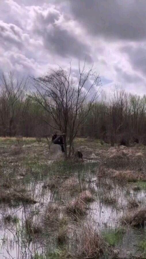 Vidéos de chasse au sanglier