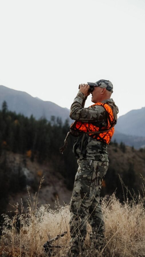 Excitation chasse sanglier vidéo