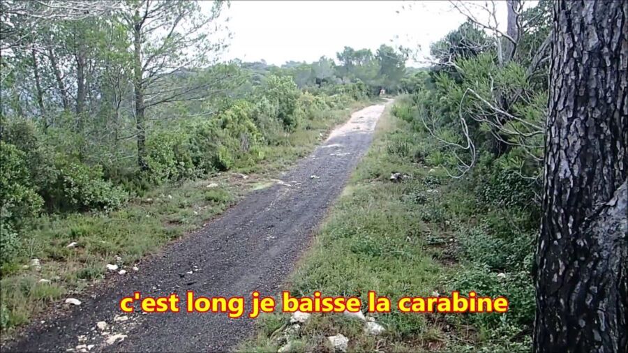Moments forts chasse sanglier
