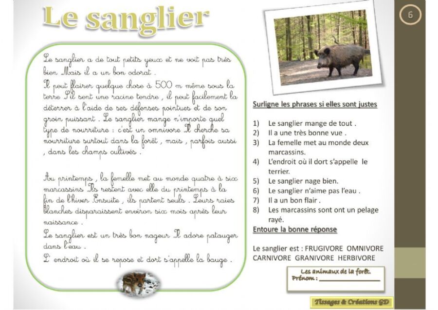 prédateurs naturels sanglier