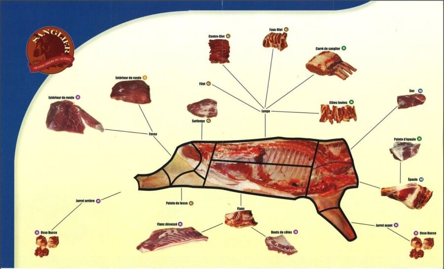écosystème prédateur du sanglier