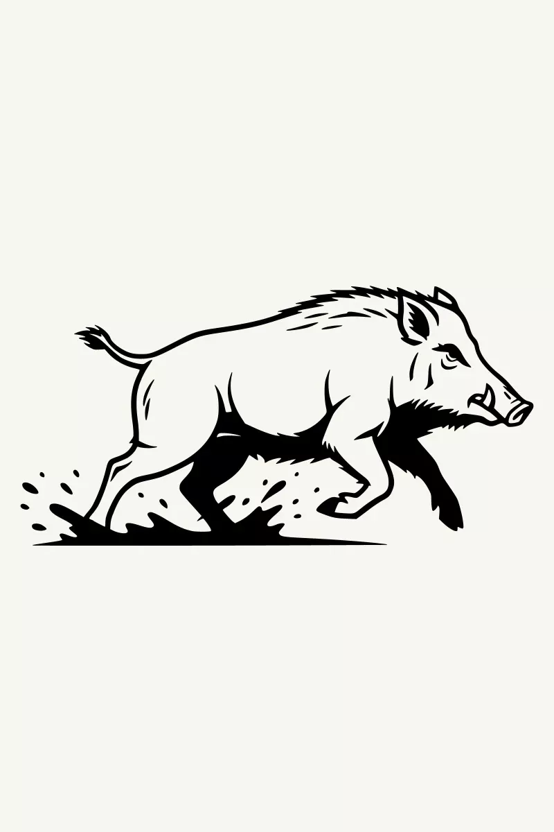 écosystème prédateur du sanglier