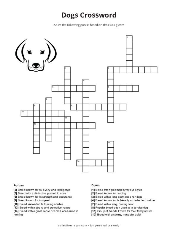 Mots fléchés chasseurs canins
