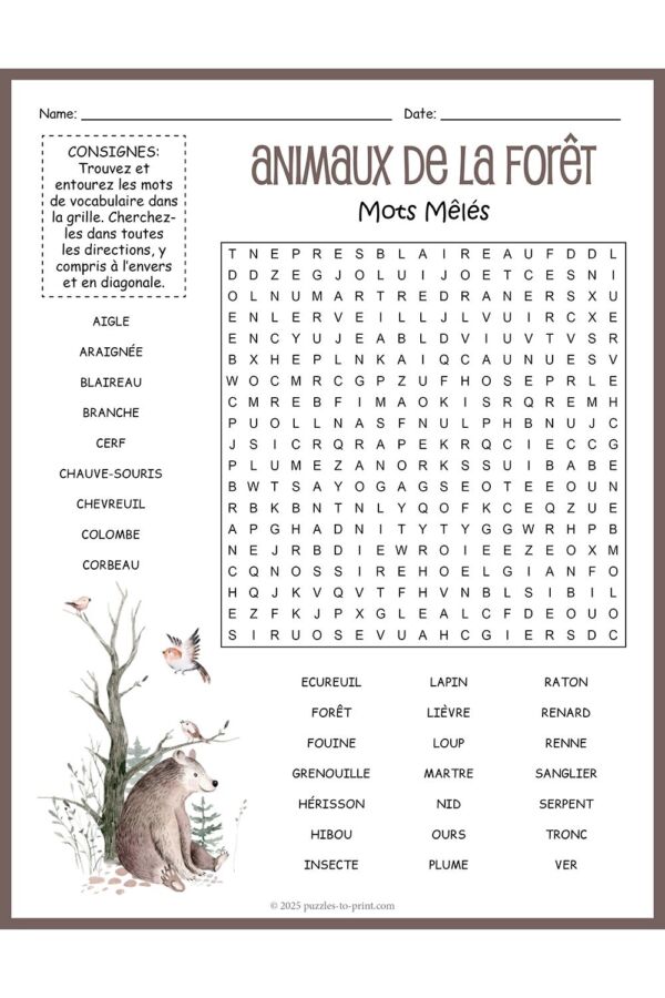 Races chien de chasse