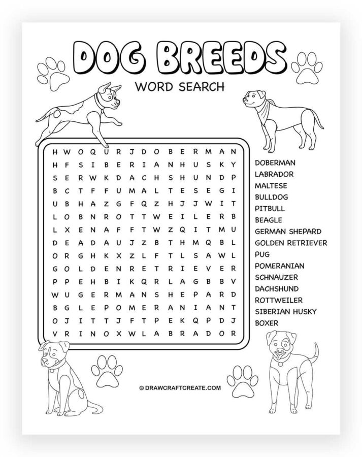 Mots fléchés chasseurs canins
