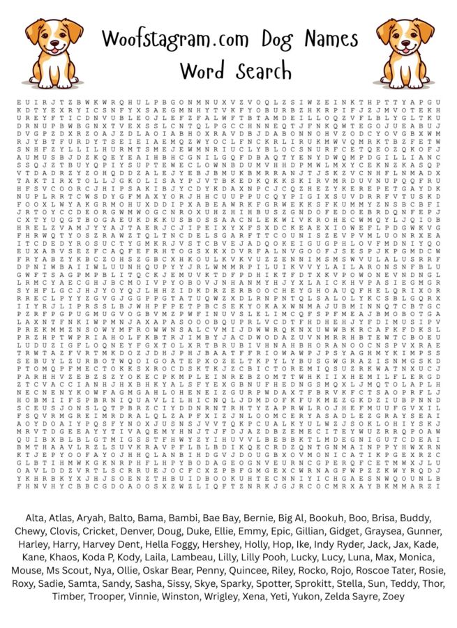 Mots fléchés chasseurs canins