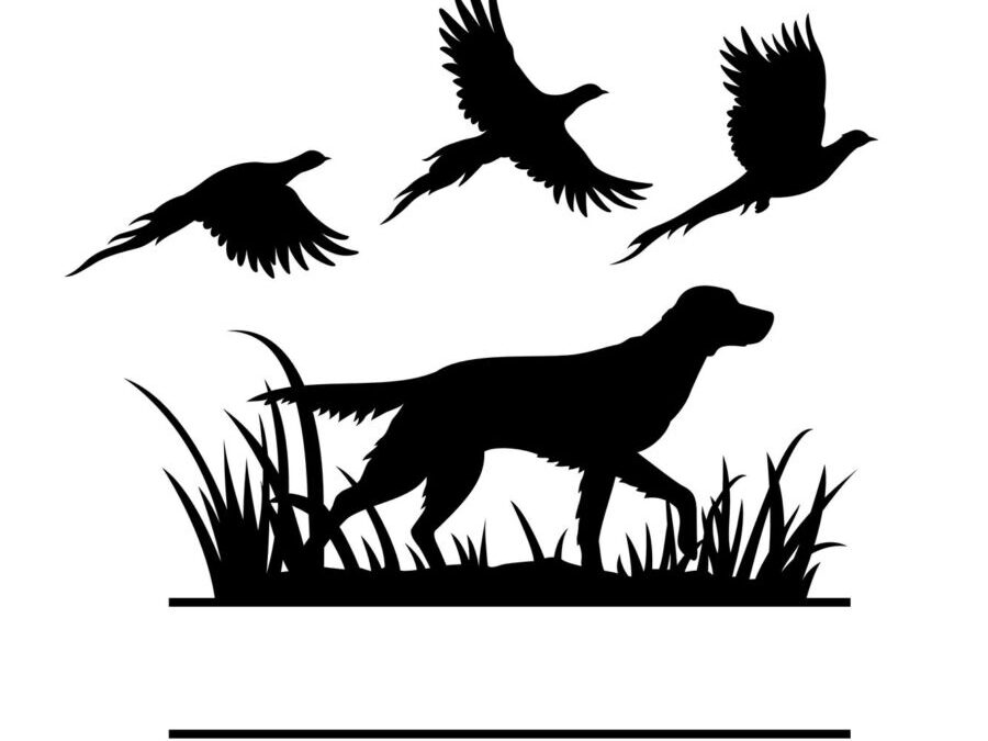 Chien de chasse 9 lettres : Découvrez les races populaires