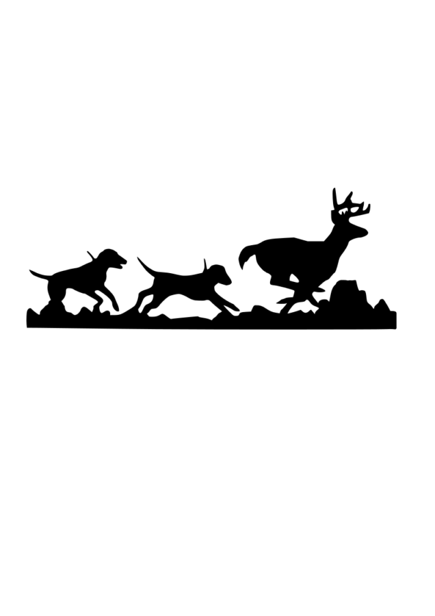 Race de chien chasse