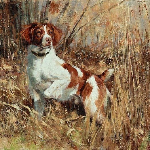 Caractéristiques des chiens de chasse