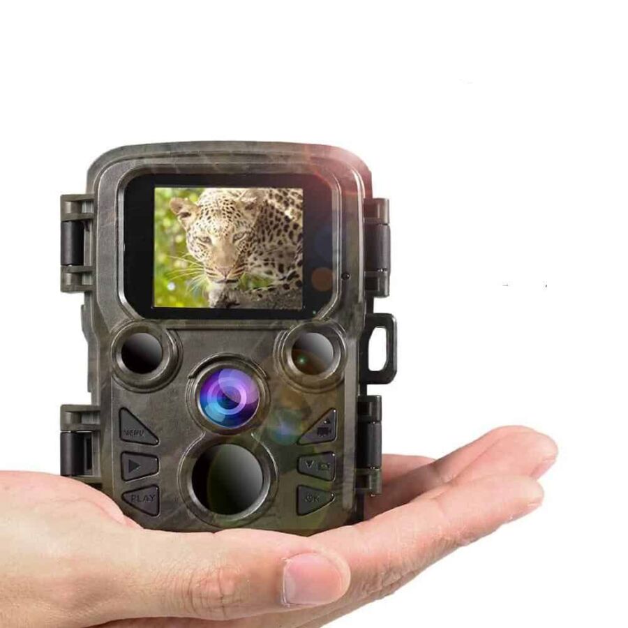 Capture d'aventure chasse