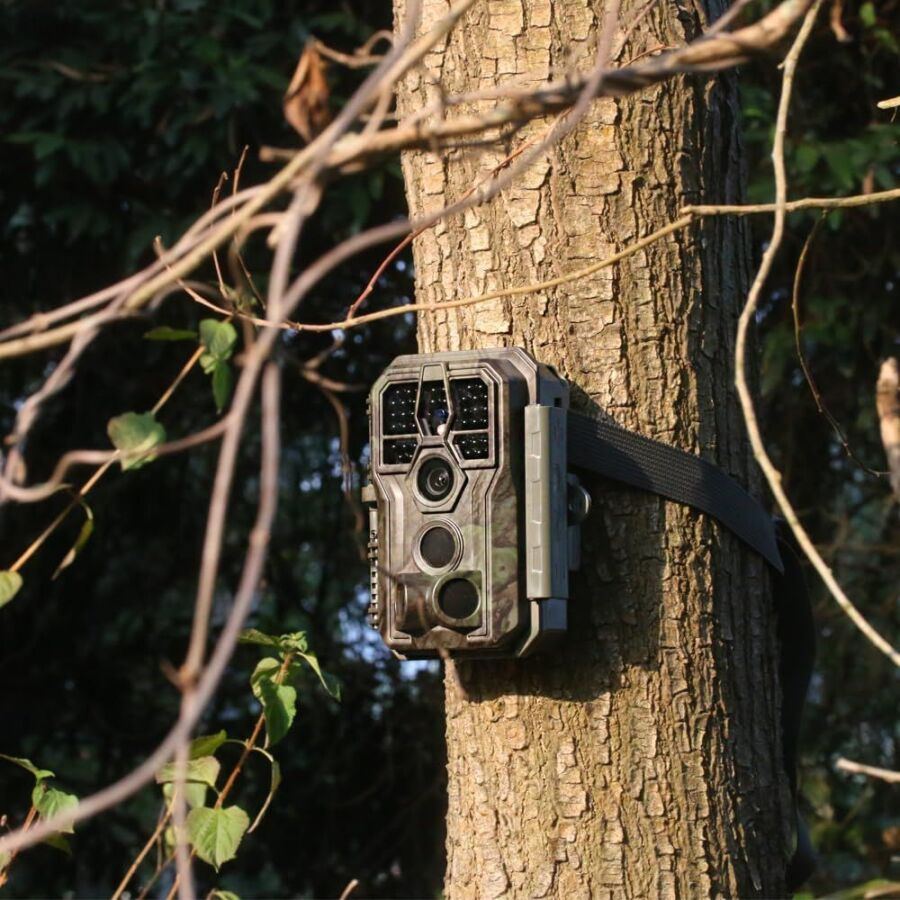 Caméra chasse haute résolution