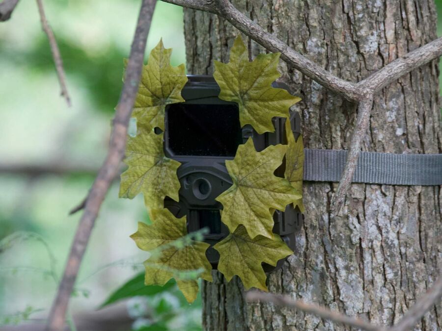 Caméra chasse haute résolution