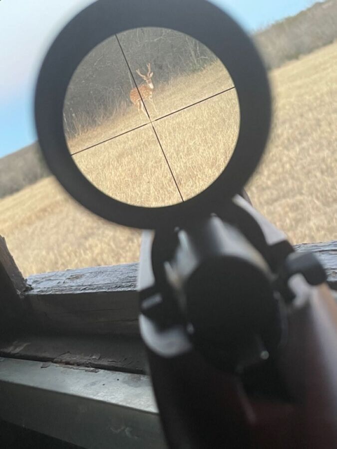 Partagez vos récits chasse