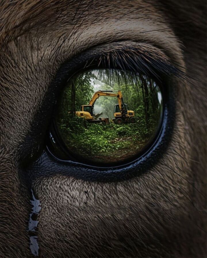 Expériences Balance ton post chasse