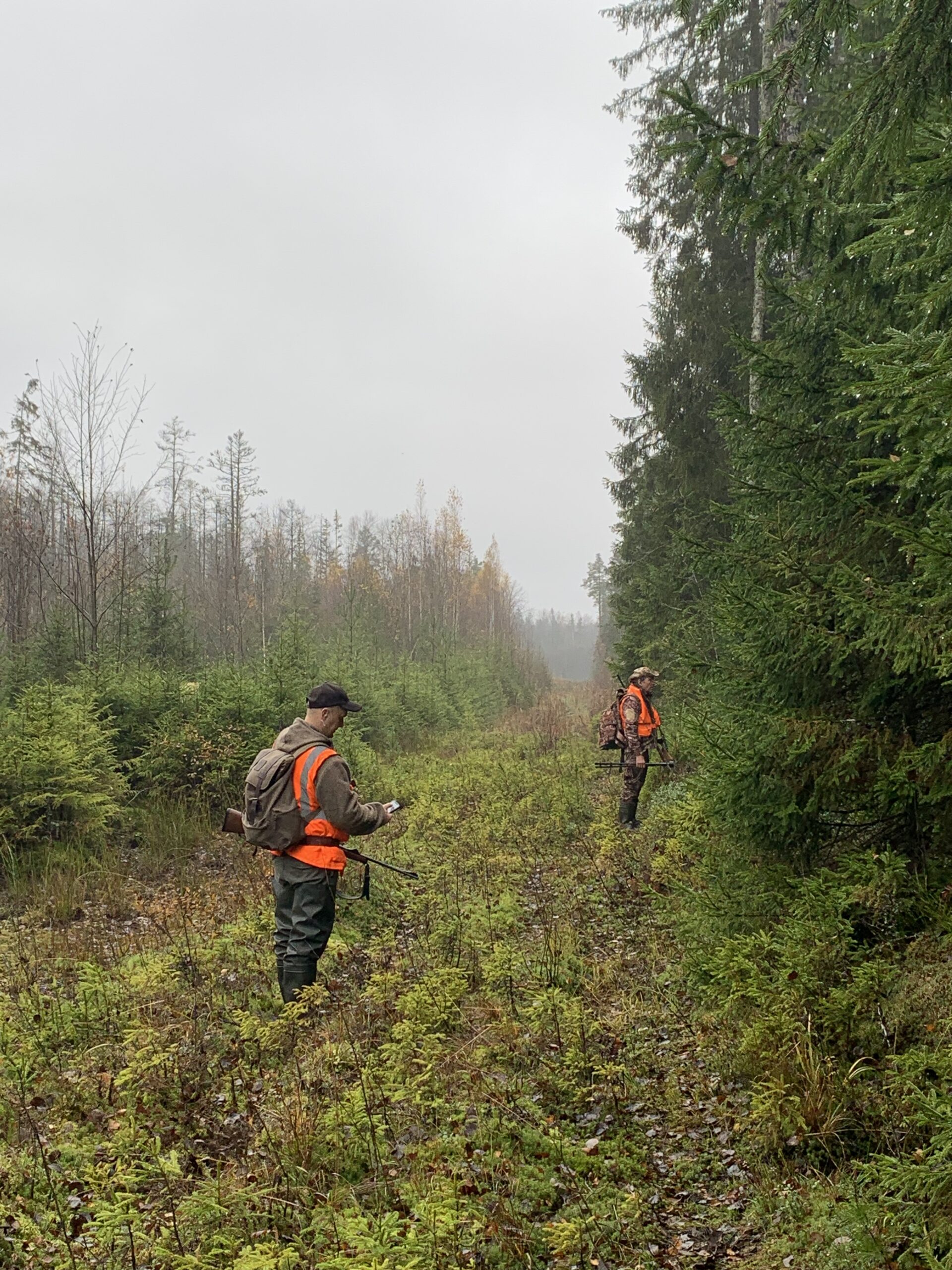 Partagez vos récits chasse