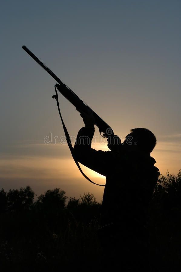 Chasse ouverte pendant confinement