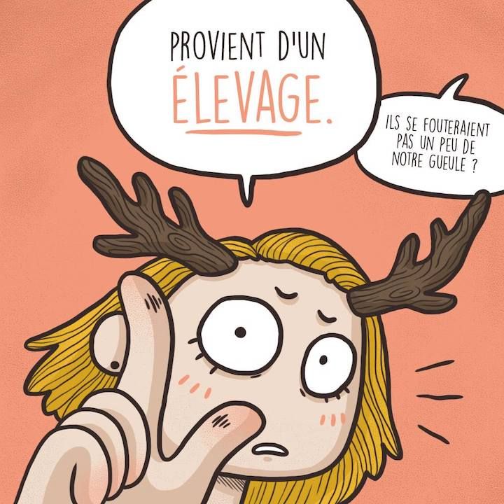 Chasse ouverte pendant confinement