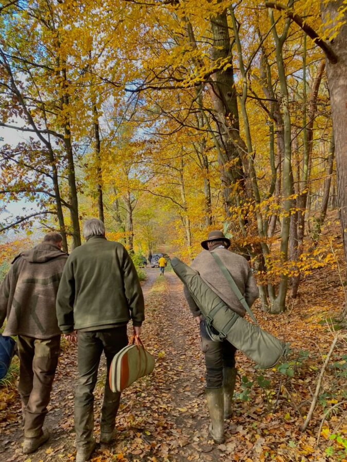 Réglementation chasse ouverte confinement
